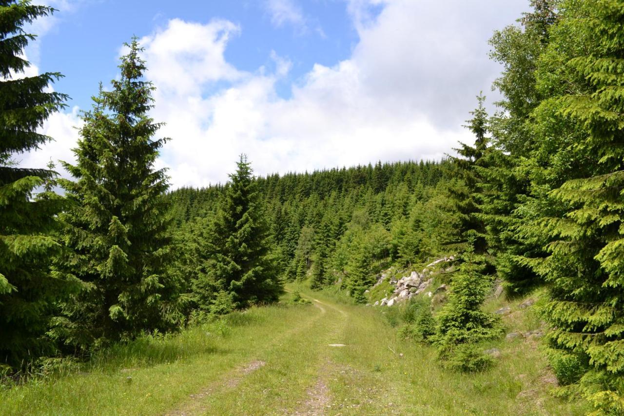 Špindlerŭv Mlýn Hotel Panorama المظهر الخارجي الصورة